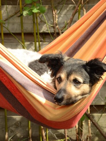 Wiosna w ogrodzie – inspiracje od Netto