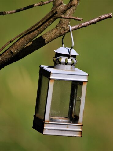 Zobacz swój ogród w nowym świetle