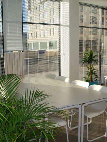 Wnętrza urządzone w duchu eko na Dzień Ziemi