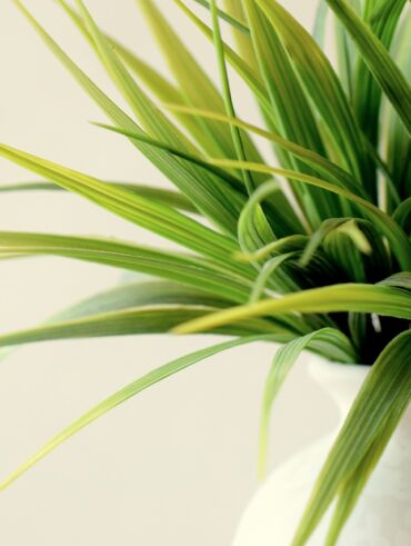 Zaaranżuj swój ogród i balkon marzeń z BoConcept